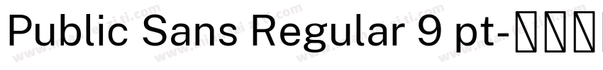 Public Sans Regular 9 pt字体转换